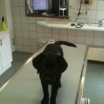 Und was passiert jetzt?