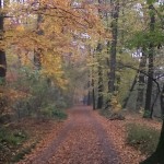 Wald-schloss benrath