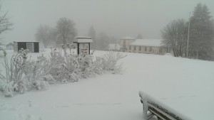 Hotel Astenrose in Lenneplätze bei Winterberg auf 800m Höhe