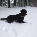 ayka-im-schnee-winterberg2013