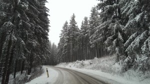 Auf der Fahrt rauf nach Neuastenberg auf 800m Höhe.