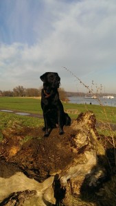 Ayka genießt die Sonne am Rhein