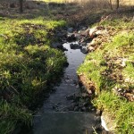 bachlauf-duesseldorf-grafenberg