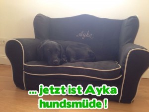 ayka-müde