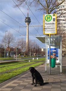 ayka-wartet-auf-die-bahn