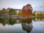 Wasserlandschaft im IHZ Park Düsseldorf