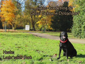 Gassi Gehen im Lantzscher Park